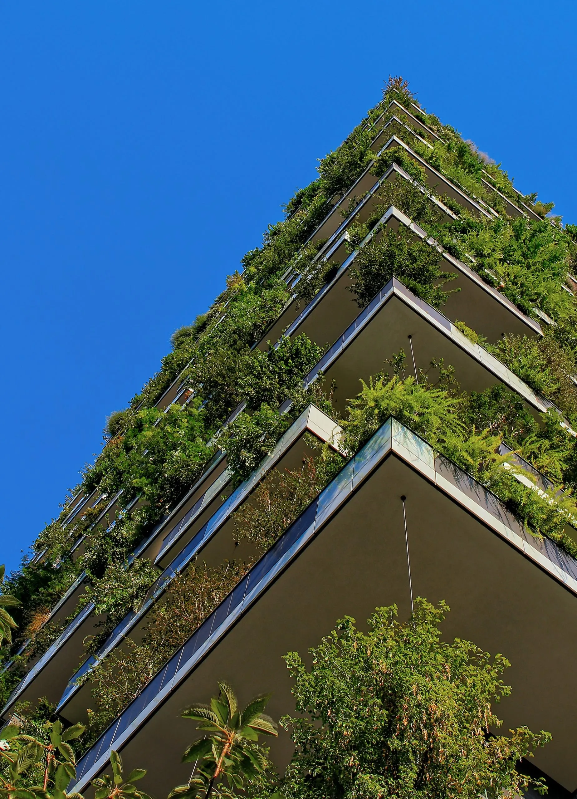 Are Smart Cities Truly Green?